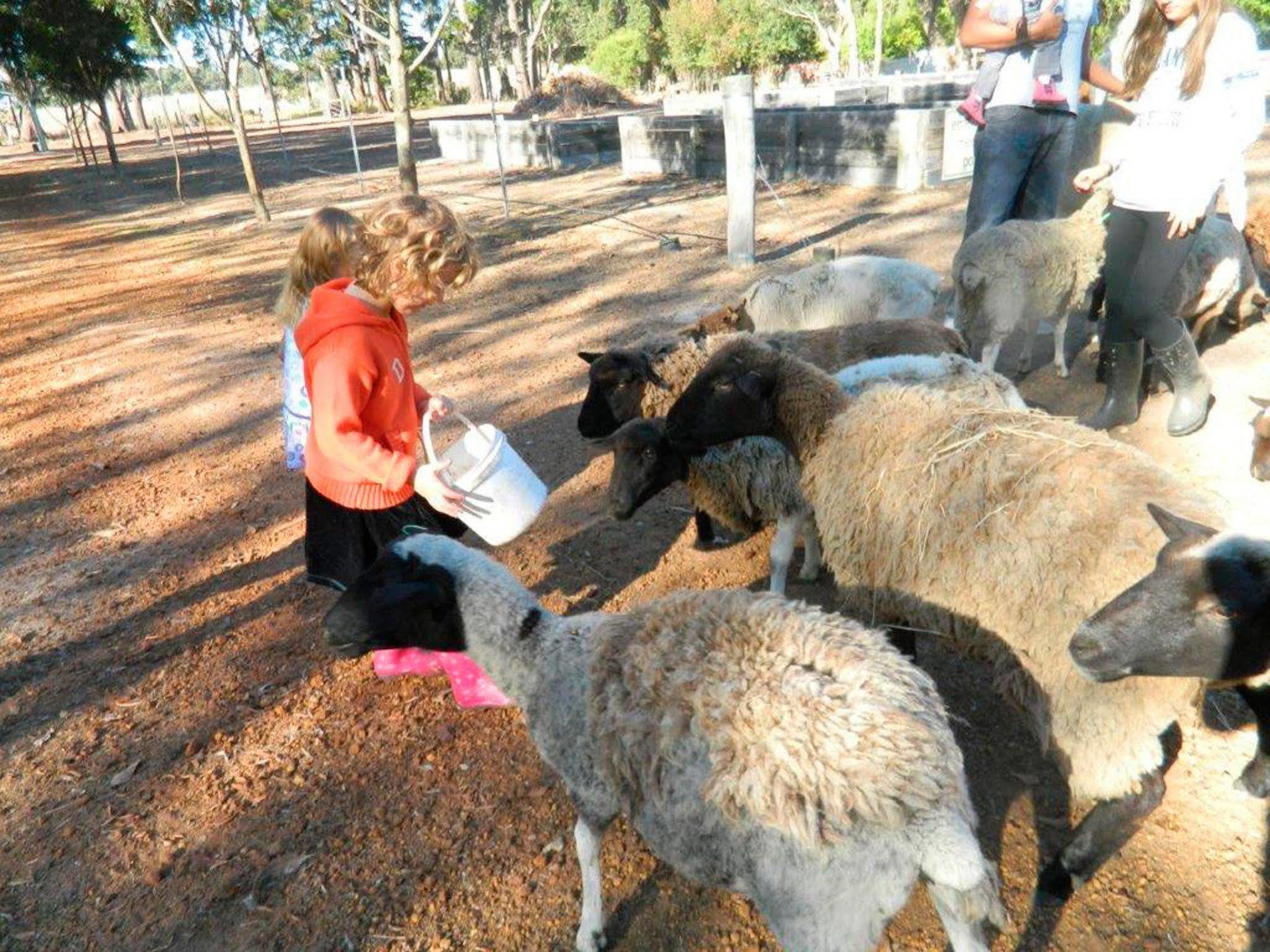 Margaret River Hideaway & Farmstay Ngoại thất bức ảnh